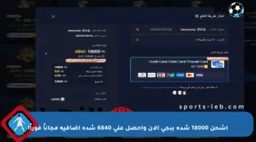 اشحن 18000 شدة ببجي الآن واحصل على 6840 شدة إضافية مجاناً فوراً!